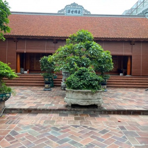 Gạch Bát 300x300x50mm màu đậm